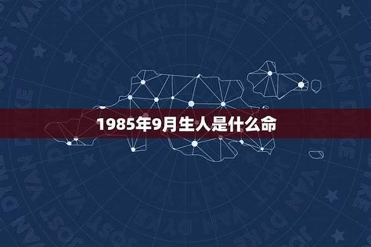 1985年生人是什么命