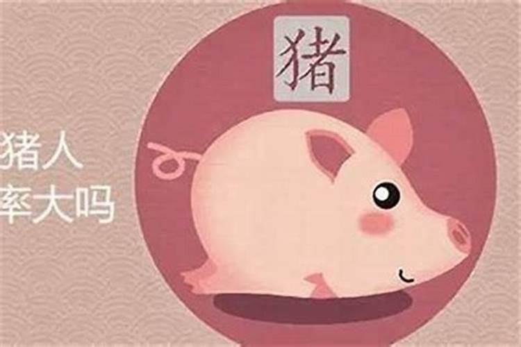 猪生肖今年运势怎么样