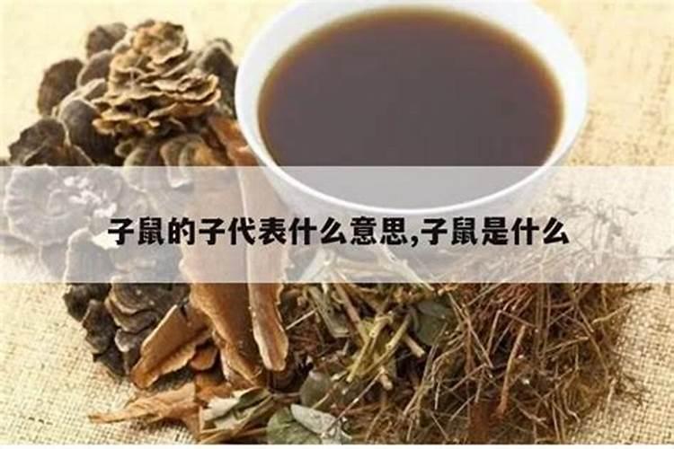 烧太岁疏文在什么地方