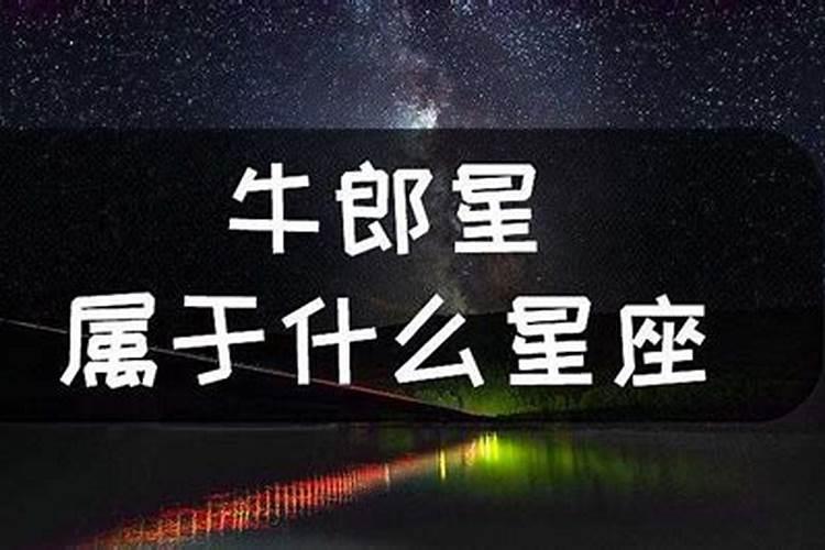 披星戴月指的是哪个生肖