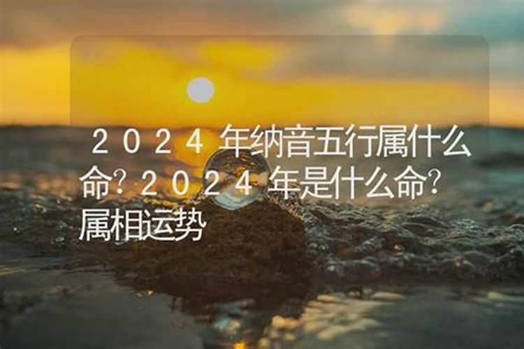 2024年是属什么年12年是什么年