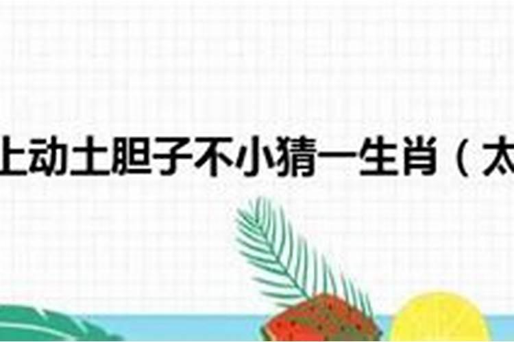 敢在太岁头上动土胆子不小打一数字