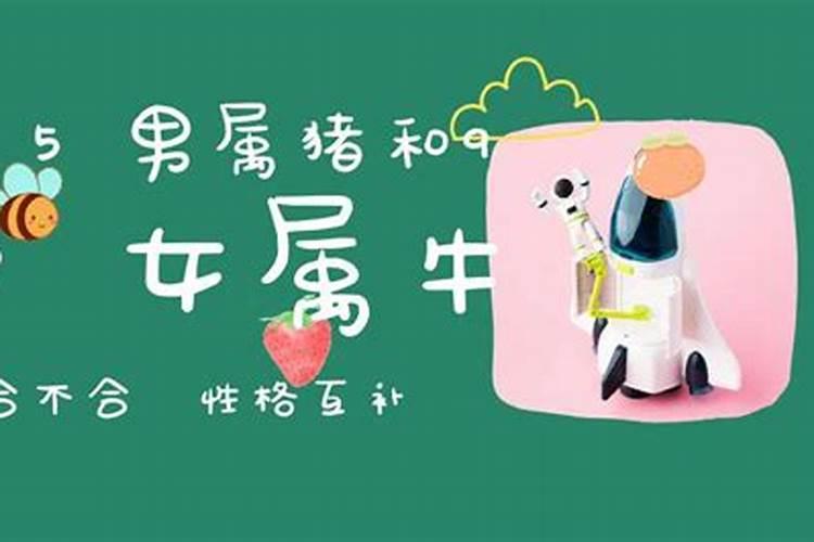 95男属猪和97女属牛生什么宝宝