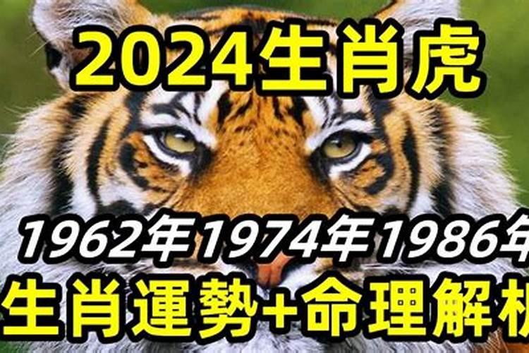 1962年属虎2024年的运势怎么样