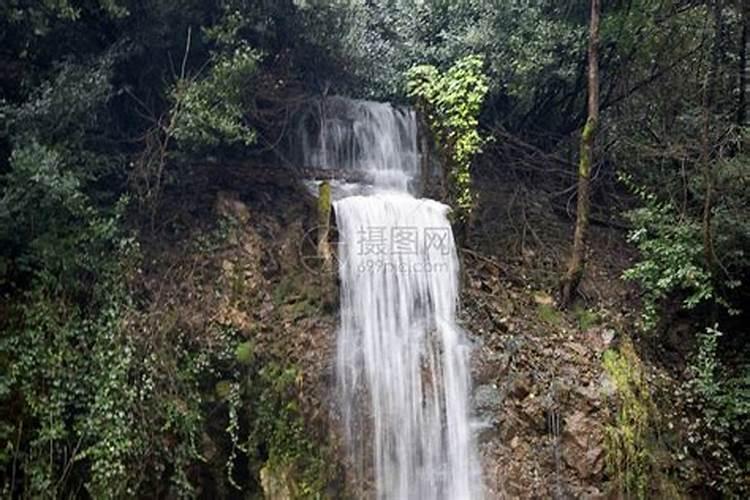 梦见从高高的山上流下来水