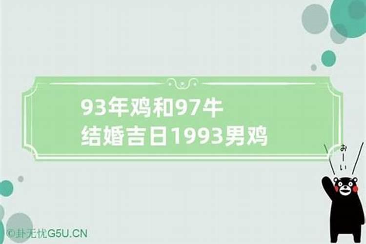 93年的鸡和97年的牛配不配