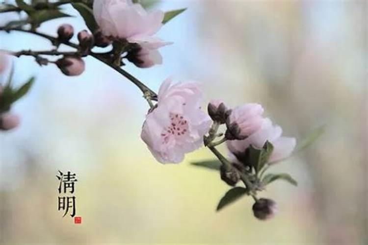 新坟清明节上