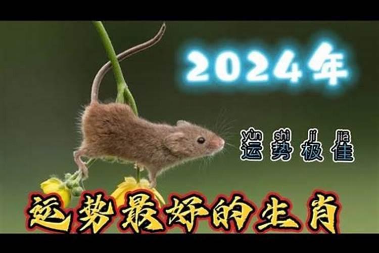 2024年运势好的生肖女