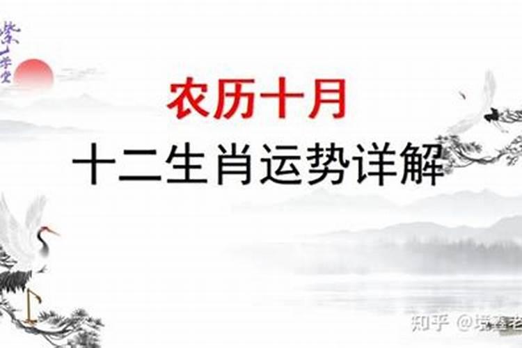 2008年10月18日现在多大