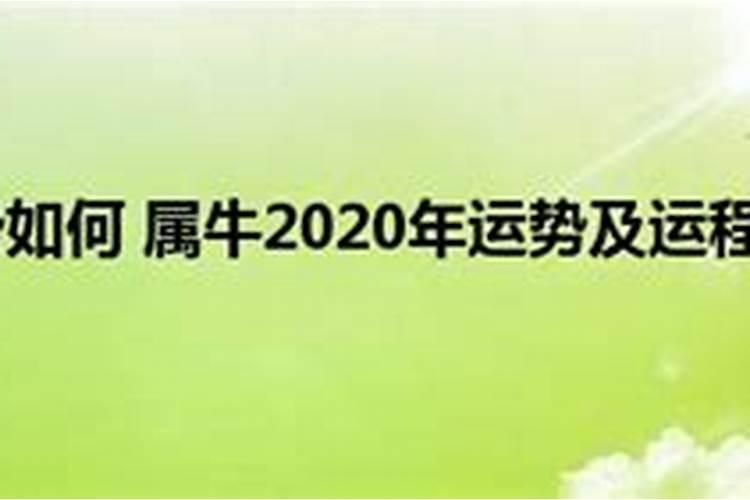 1997属牛2020年运势女