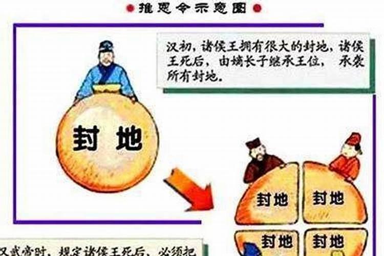 禁土令是什么