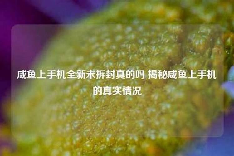 咸鱼算命的信得过吗