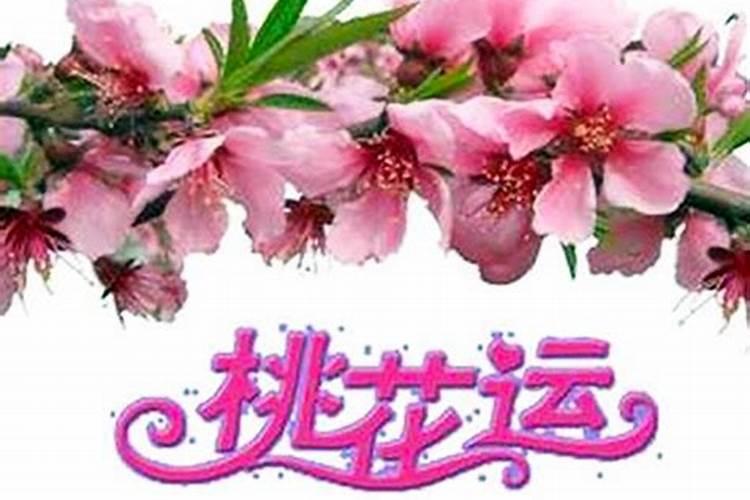 桃花运旺会不会影响财运