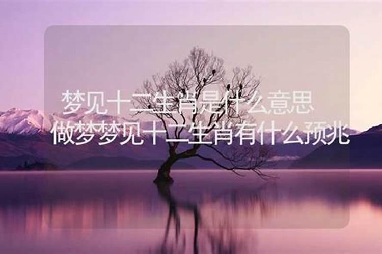 做梦梦见12生肖