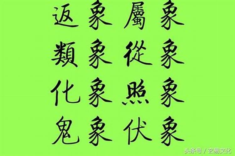 八字反推排盘什么意思