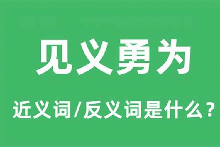 最勇敢的生肖是什么