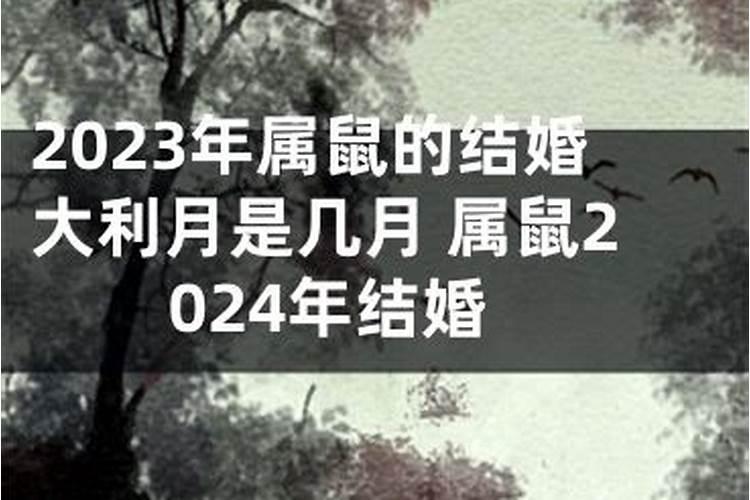 2024年1月份属鼠结婚黄道吉日