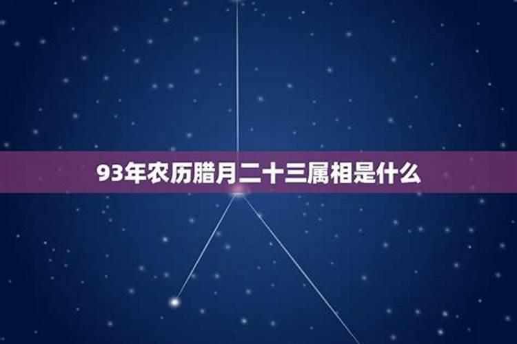 1993年腊月25日农历