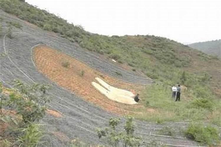 风水大师教你看坟地风水