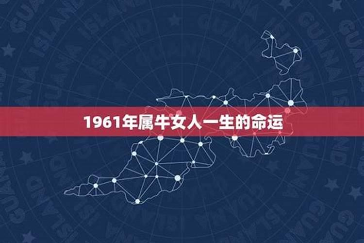 1961年出生的属牛女人运程