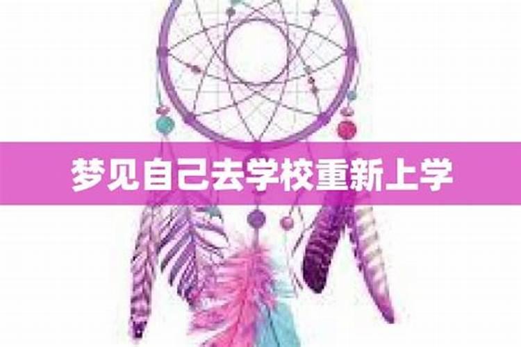 梦见去重新回到学校