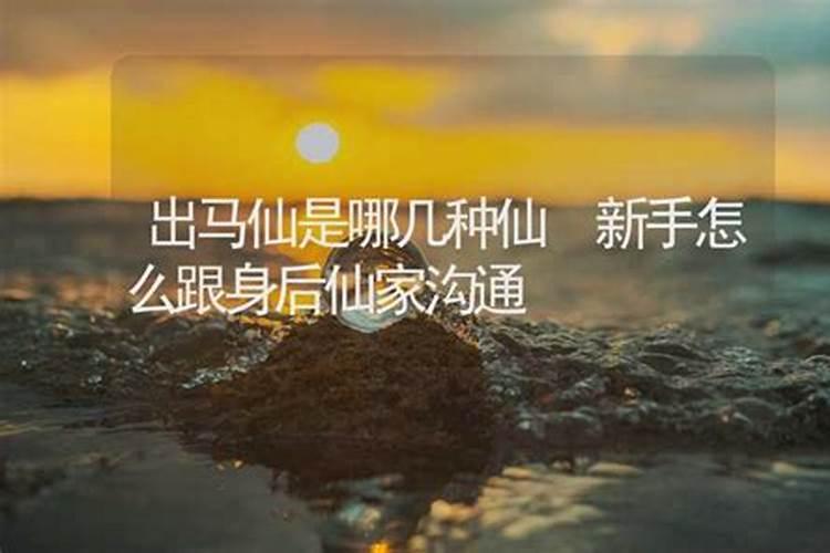 什么样的八字肯定出马的