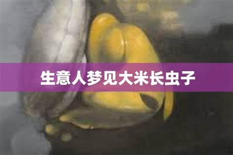 梦见大米生虫子是什么意思呢