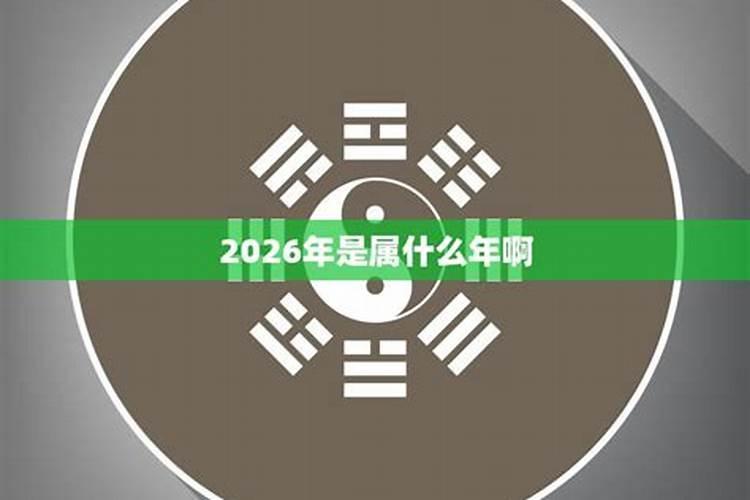 2026年属什么生肖属相什么