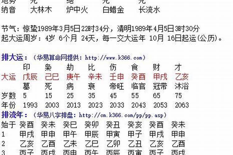 辛巳癸巳己亥丁卯男八字