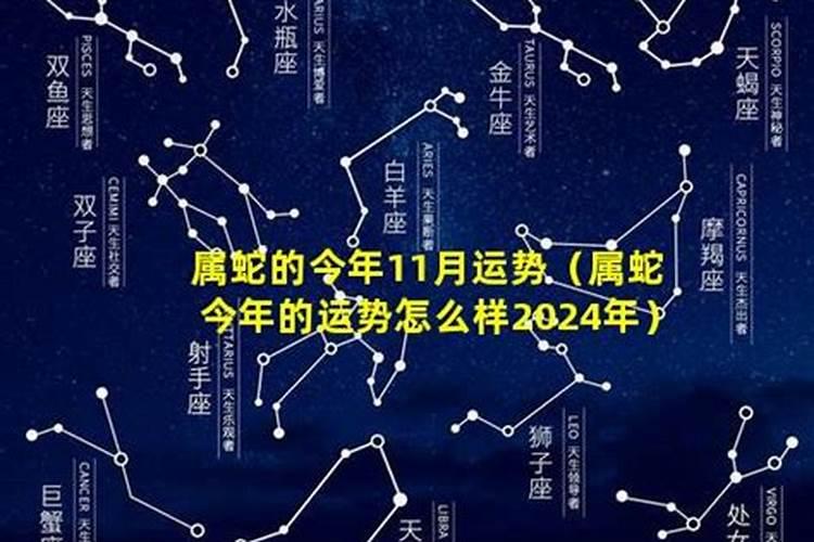 属蛇今年运势2024年运势11月运势