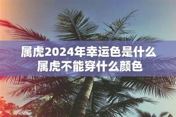 属虎2024年吉祥色