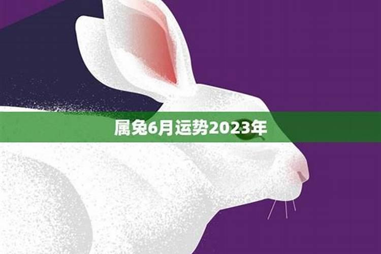 生肖兔6月运势查询2022