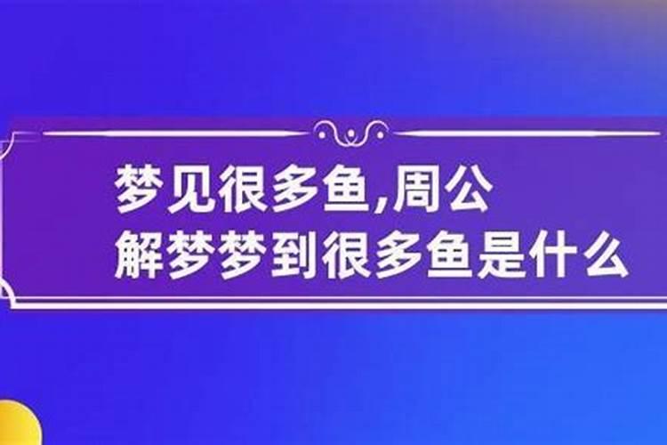 梦见很多鱼意味着什么