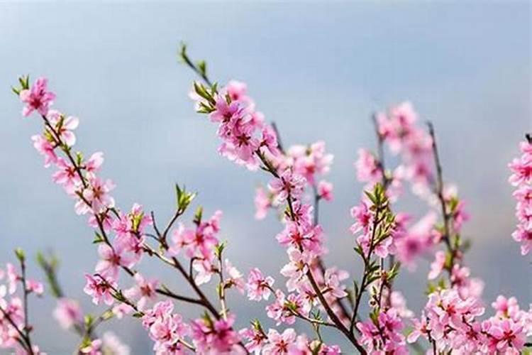 鬼节祭祖地址姓名