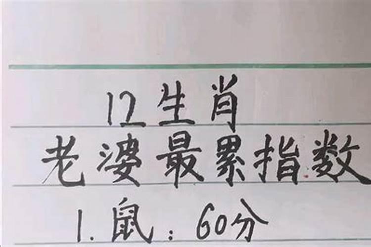 12生肖老婆经常受谁的气