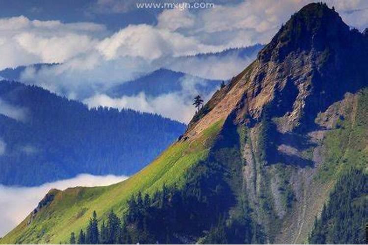 梦到四周都是高山