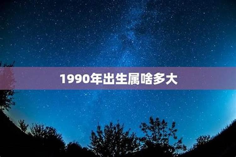 1990年属什么生肖多少岁了