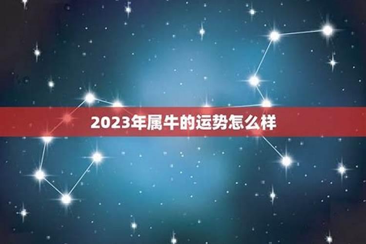 属牛女2023年运势怎么样