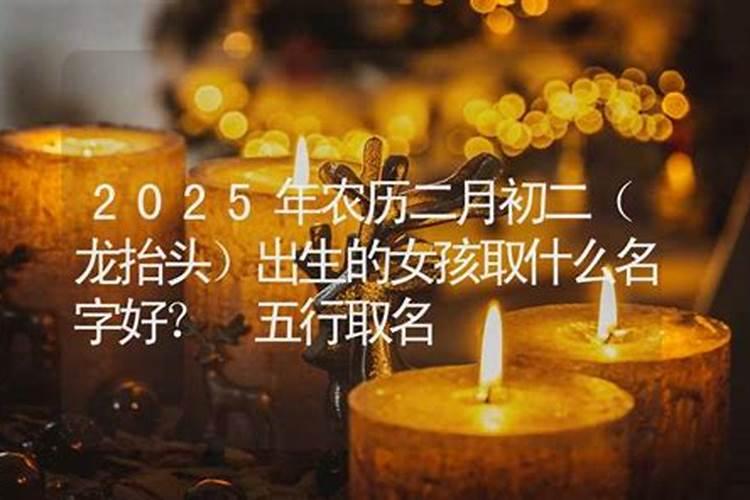 农历正月初二什么日