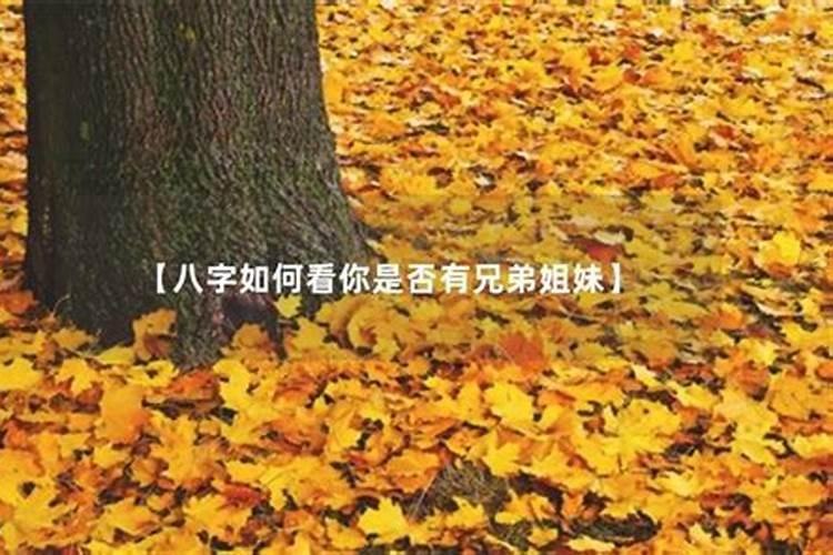 八字算命如何看兄弟姐妹