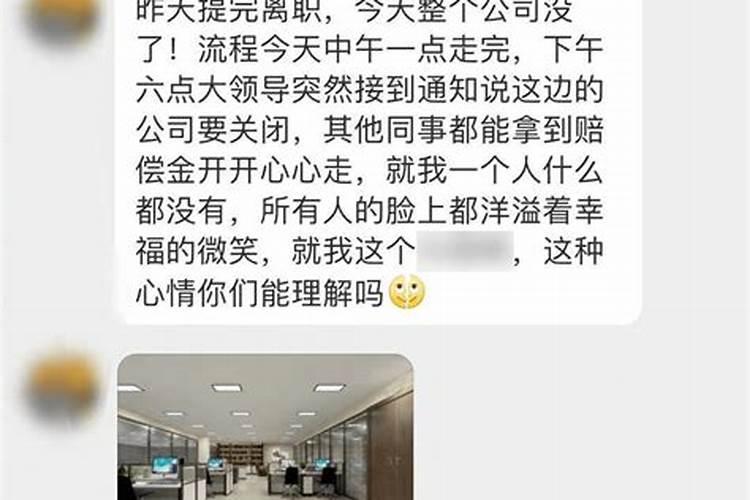 梦到公司要倒闭了老板问我怎么办呢