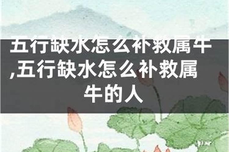 属牛的命里都缺水吗