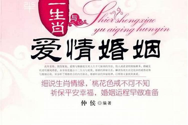 12生肖爱情与婚姻