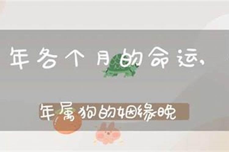 属马每个月份是什么命