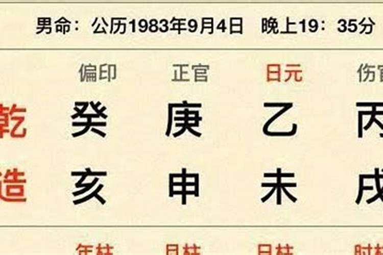 八字排盘日元是什么