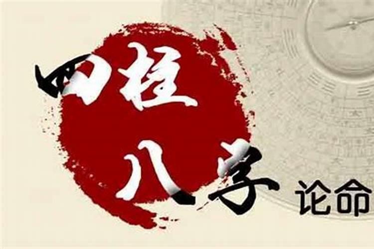 八字里的日元代表什么