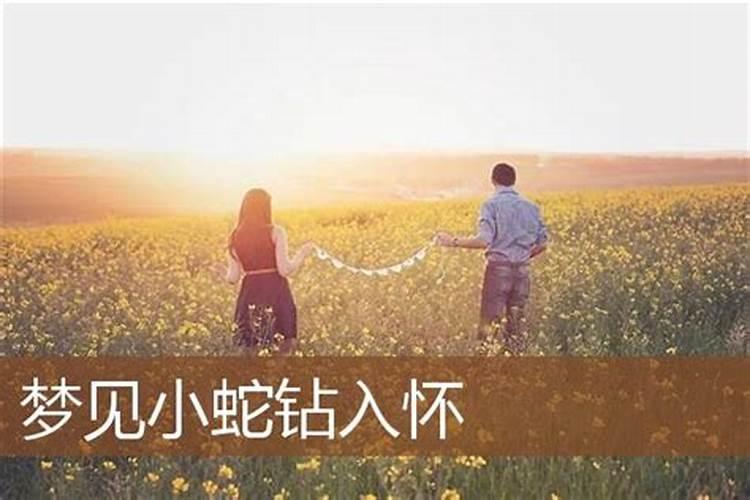 梦见女人入怀什么意思