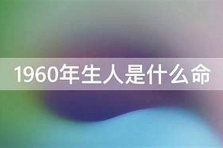 2023兔年今年的运势怎么样呀