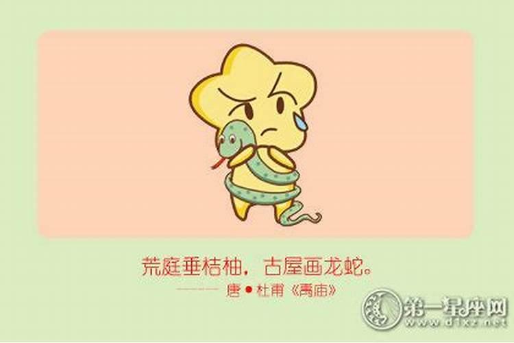 女的属蛇命运好不好呢