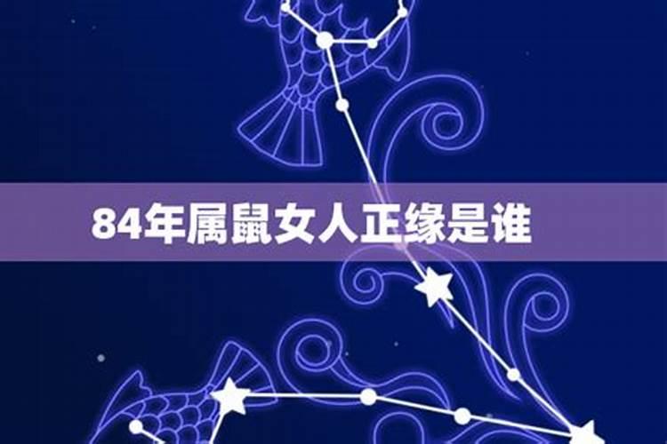 生肖属蛇的女人命好不好